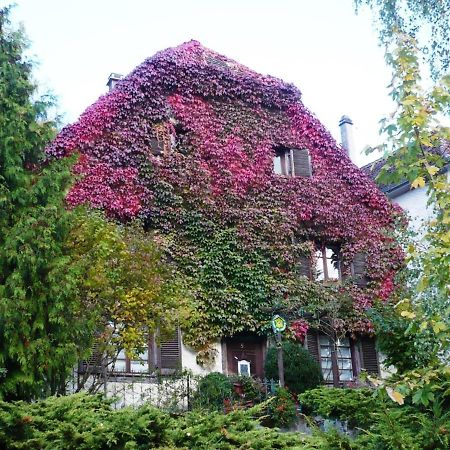 B&B De Charme La Maison Des 5 Temps Ferrette Εξωτερικό φωτογραφία