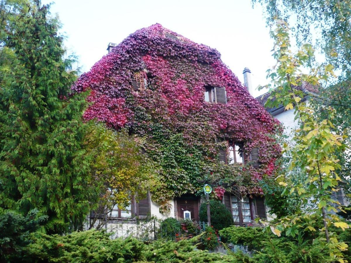 B&B De Charme La Maison Des 5 Temps Ferrette Εξωτερικό φωτογραφία
