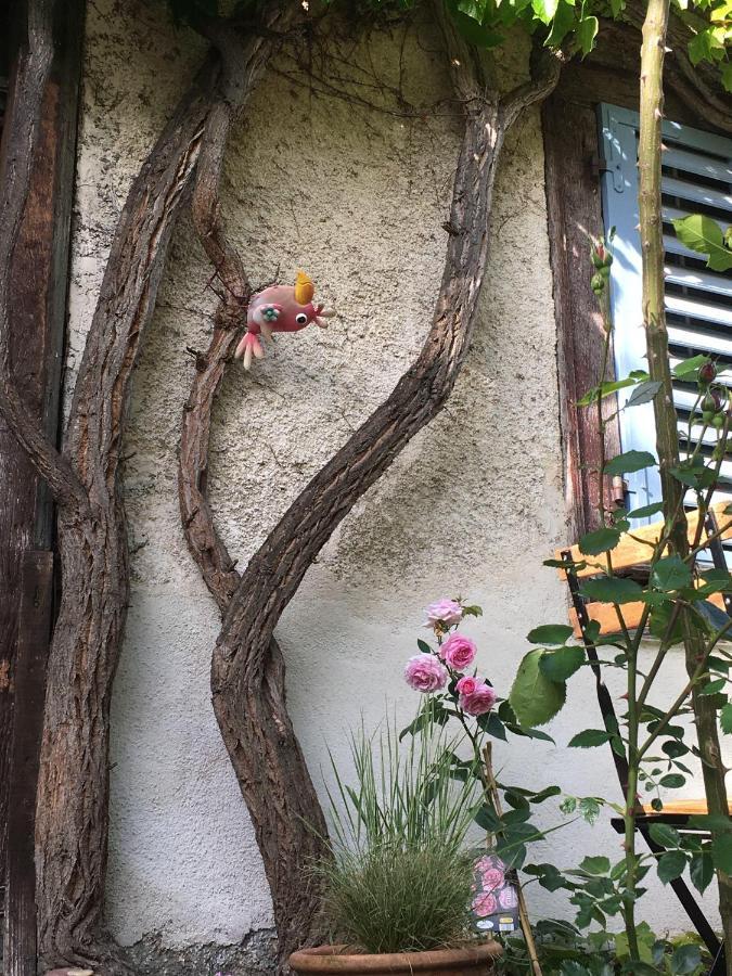 B&B De Charme La Maison Des 5 Temps Ferrette Εξωτερικό φωτογραφία