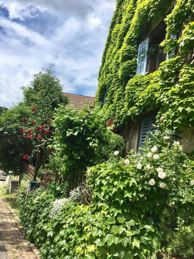 B&B De Charme La Maison Des 5 Temps Ferrette Εξωτερικό φωτογραφία