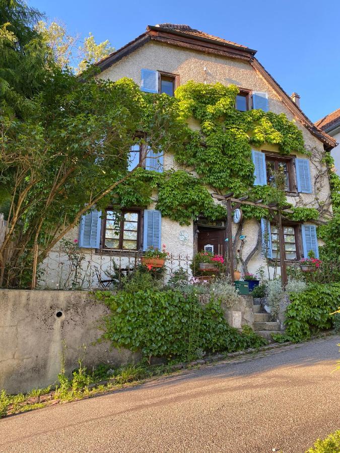B&B De Charme La Maison Des 5 Temps Ferrette Εξωτερικό φωτογραφία