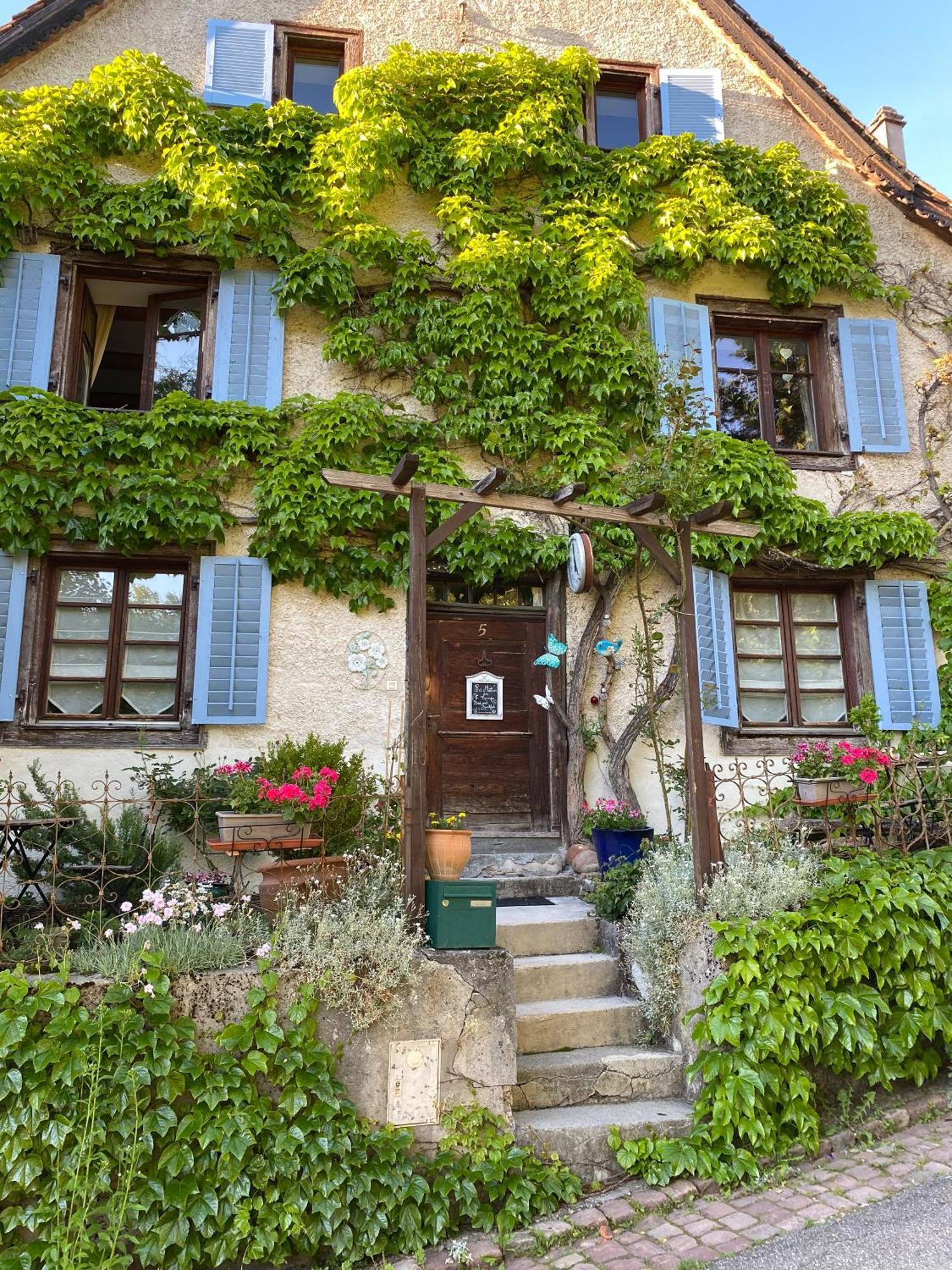 B&B De Charme La Maison Des 5 Temps Ferrette Εξωτερικό φωτογραφία