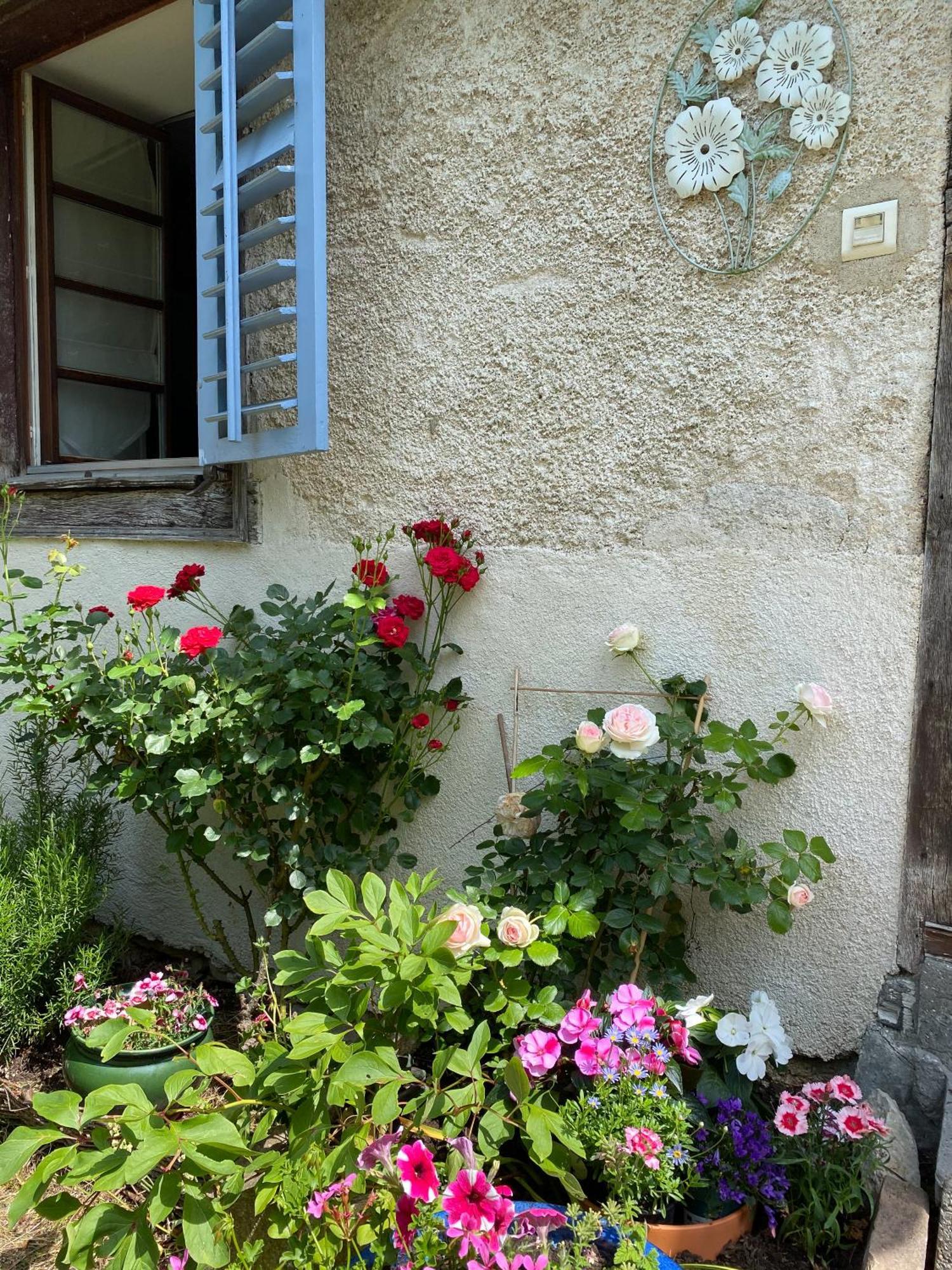B&B De Charme La Maison Des 5 Temps Ferrette Δωμάτιο φωτογραφία