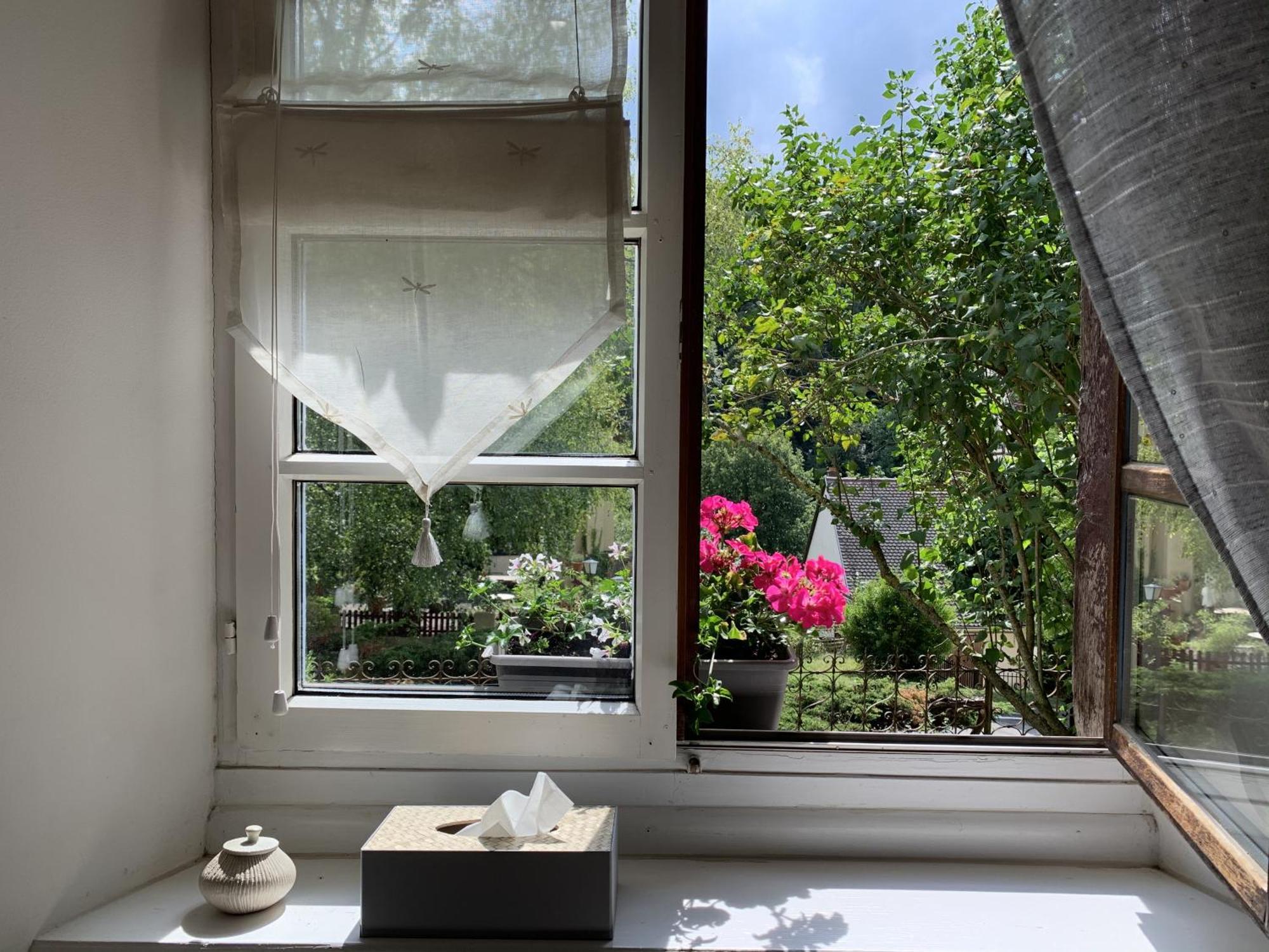 B&B De Charme La Maison Des 5 Temps Ferrette Δωμάτιο φωτογραφία
